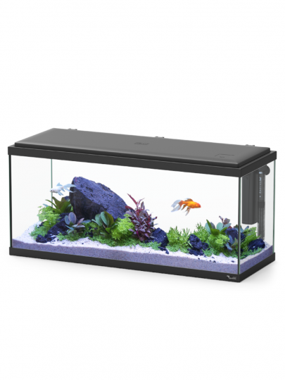 Aquario Explorer Amsterdam 80x30x37 - 85L  COR001 Preto LED 17W e Biobox1